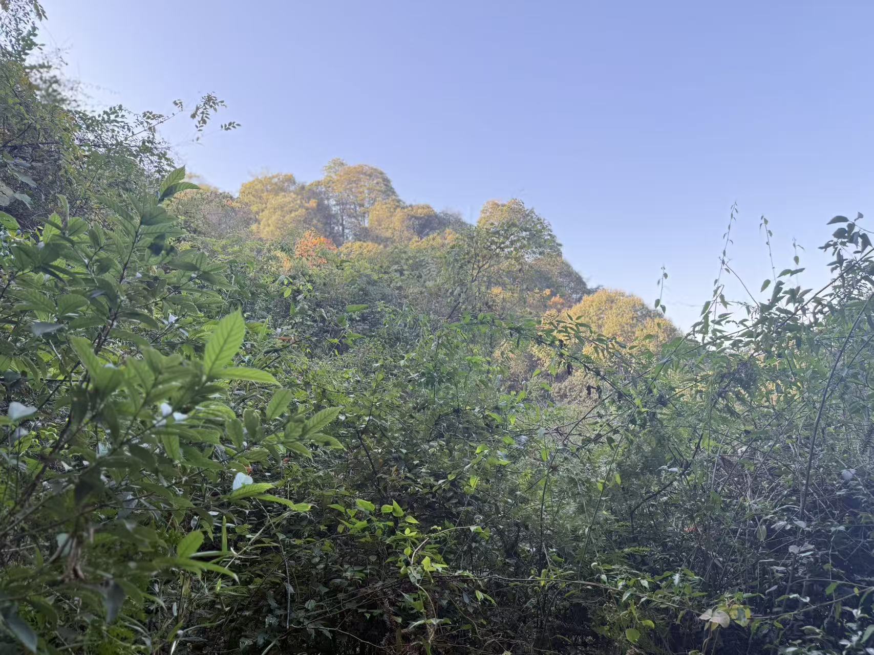 20251208215732_160_4.jpg 20251208215732_160_4.jpg