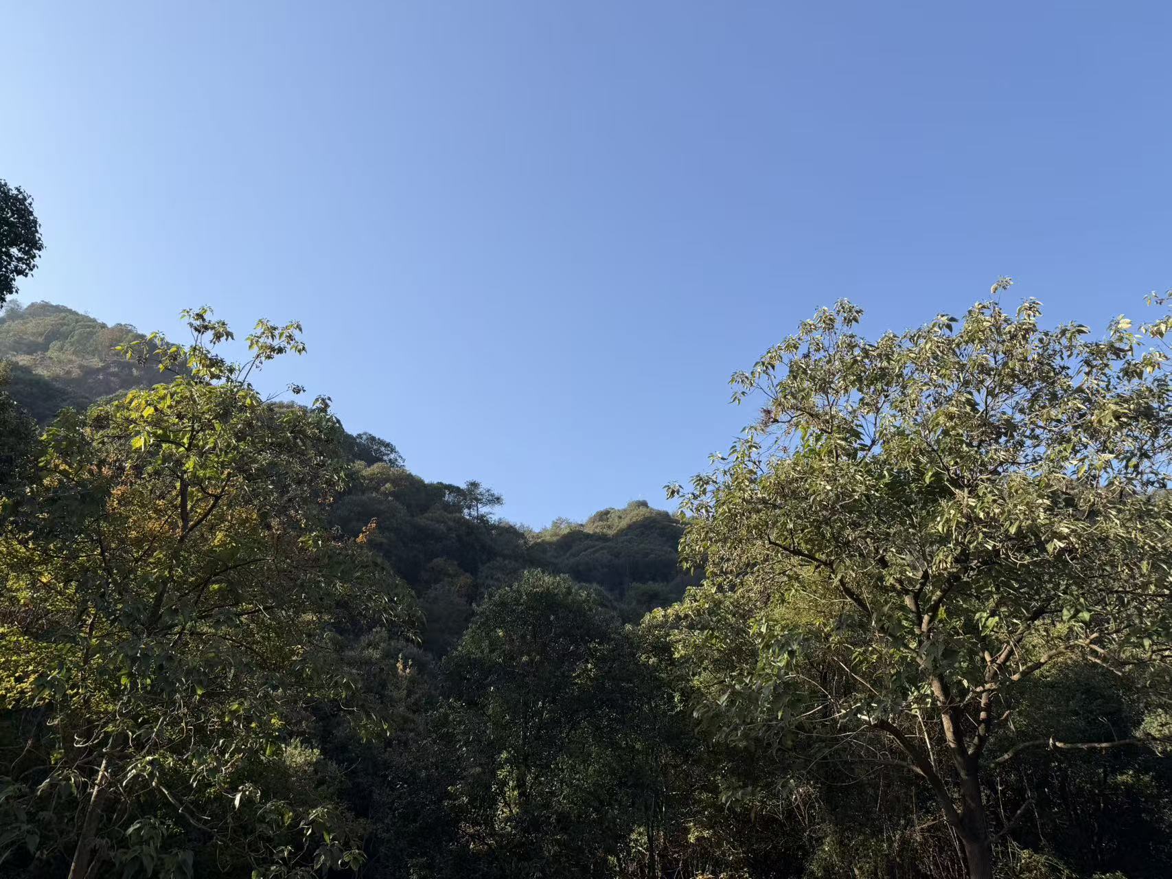 _20251208215719_146_4.jpg _20251208215719_146_4.jpg