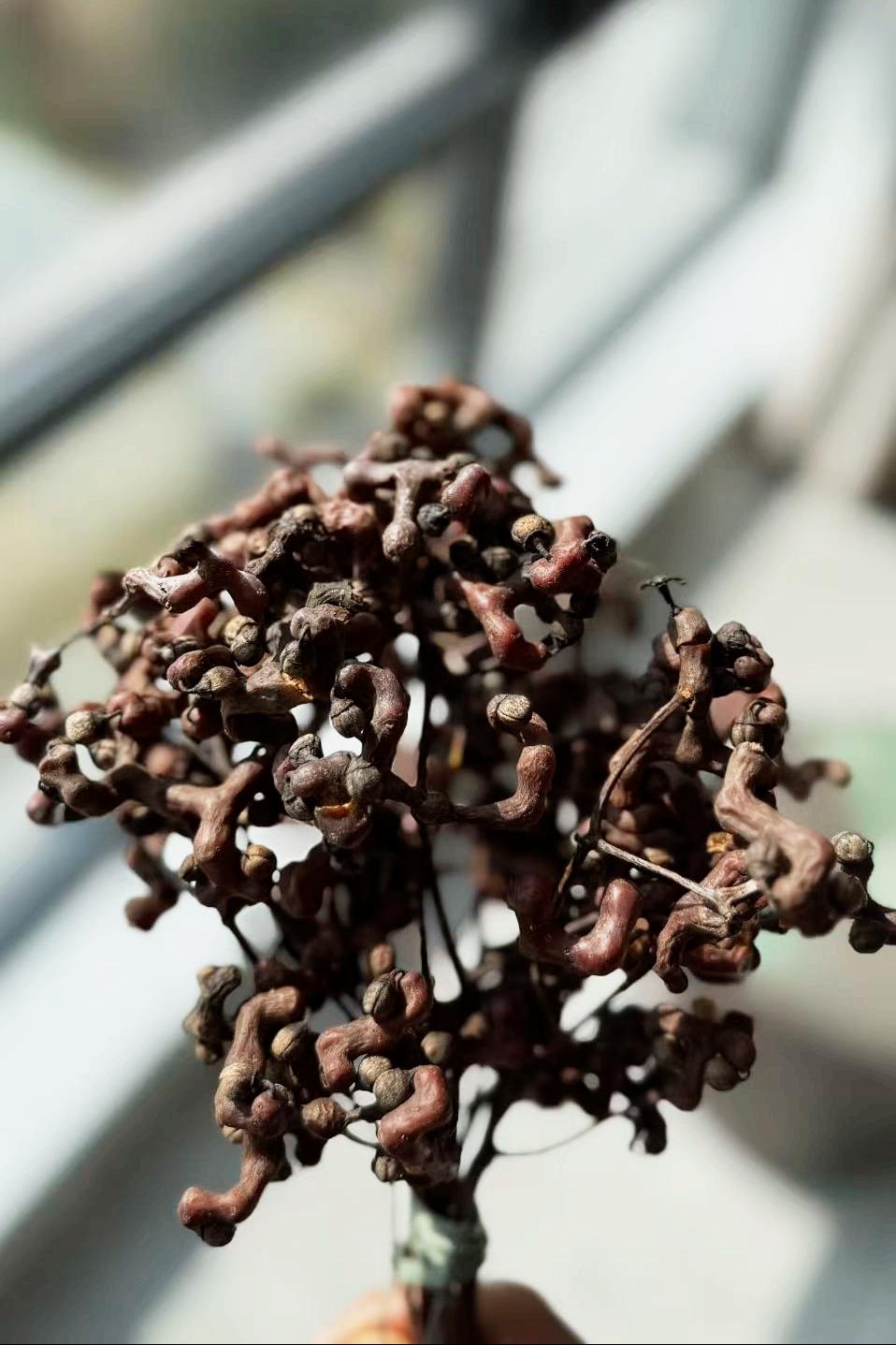 0d3786a3d69209915cf77e3fe7ca61c6.jpeg 0d3786a3d69209915cf77e3fe7ca61c6.jpeg