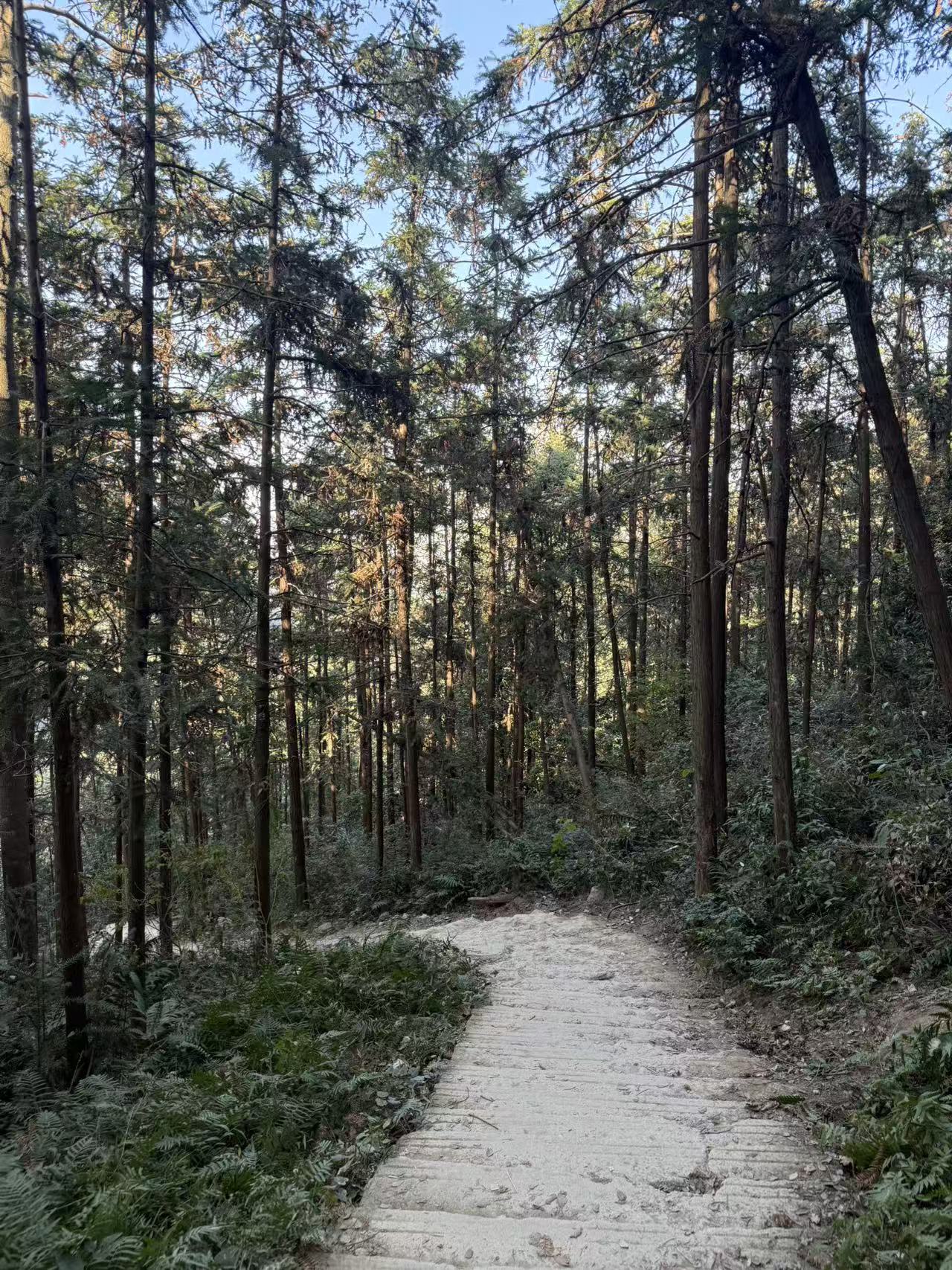 20251208215711_138_4.jpg 20251208215711_138_4.jpg