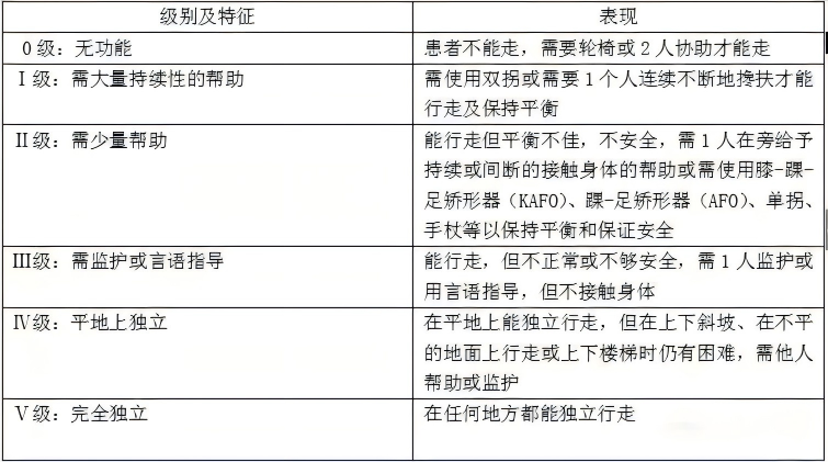 Holden步行功能分级 Holden步行功能分级