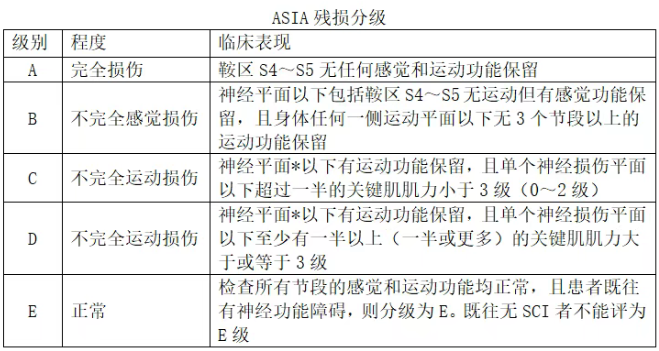 ASIA残损分级 ASIA残损分级